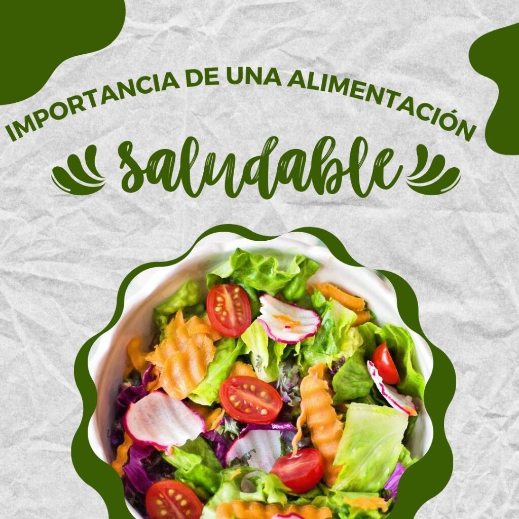 mportancia-de-una-Alimentacion